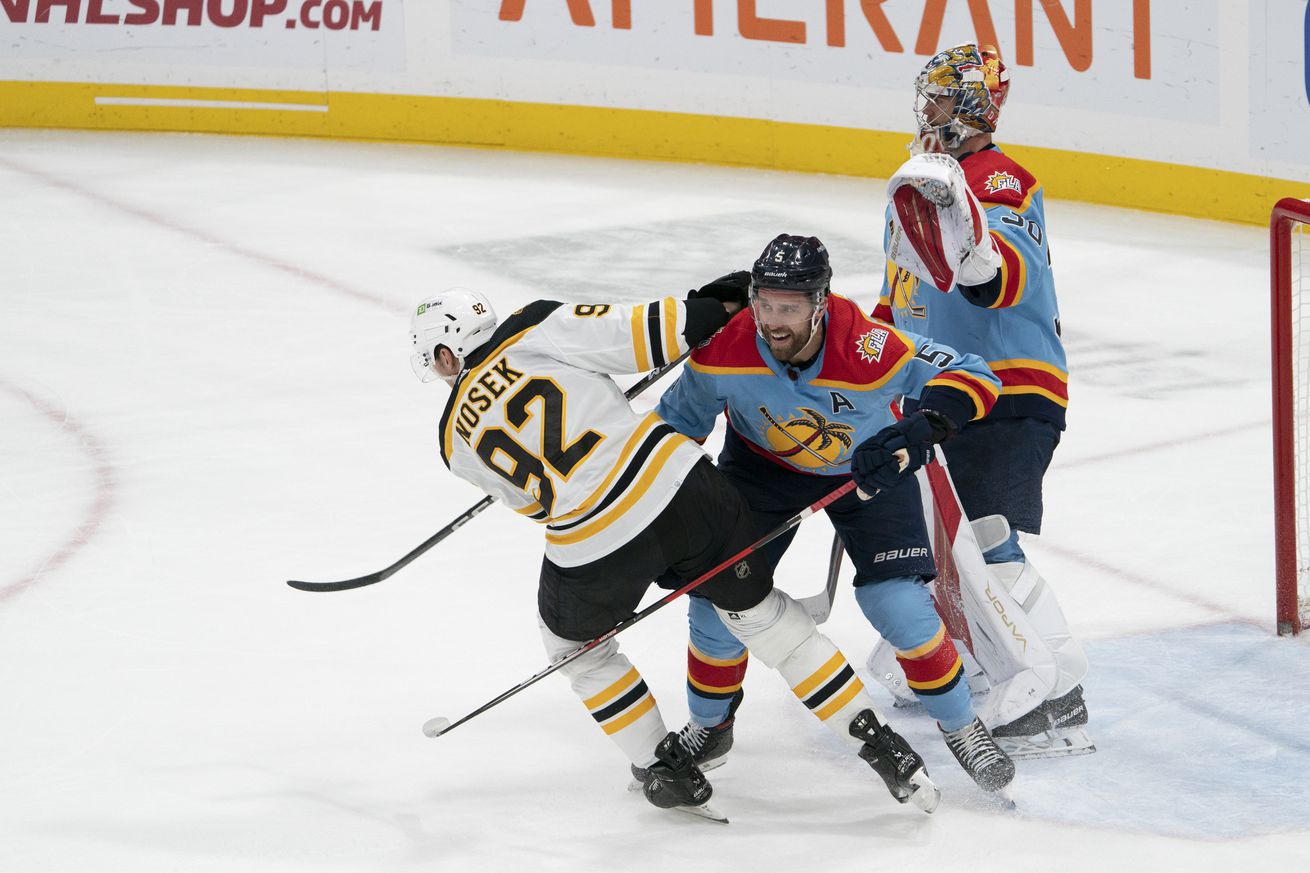 NHL: NOV 23 Bruins at Panthers