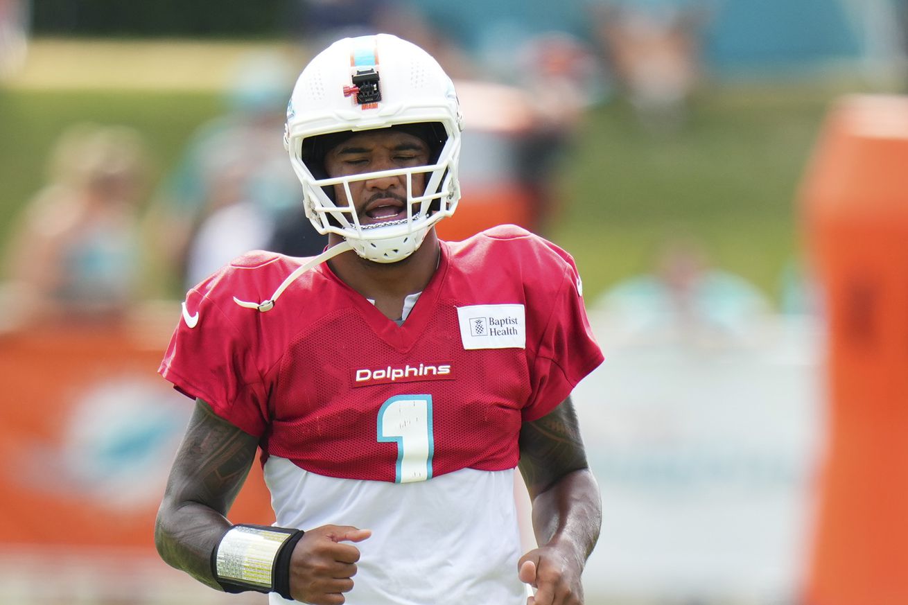 Atltanta Falcons & Miami Dolphins Joint Practice