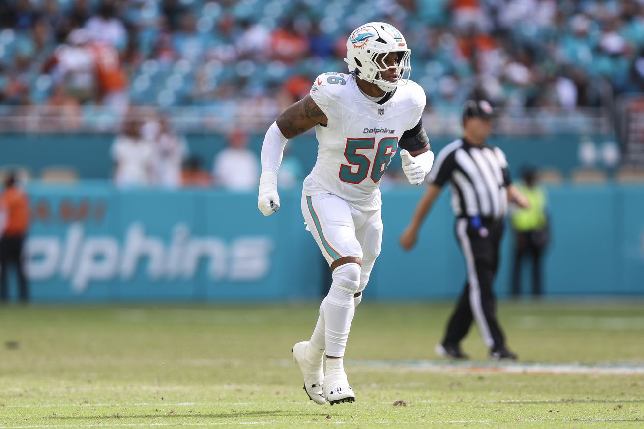 Arizona Cardinals v Miami Dolphins