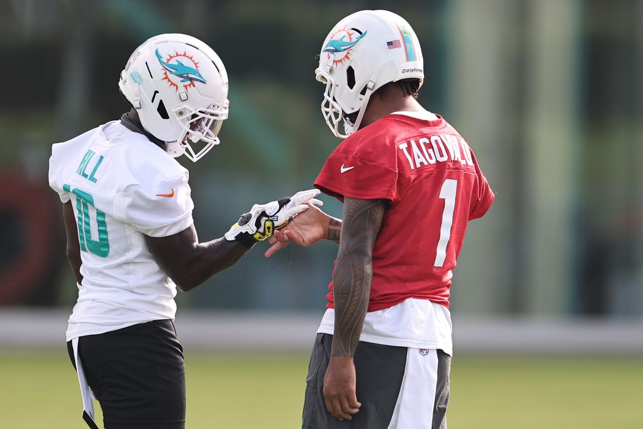 Miami Dolphins Training Camp